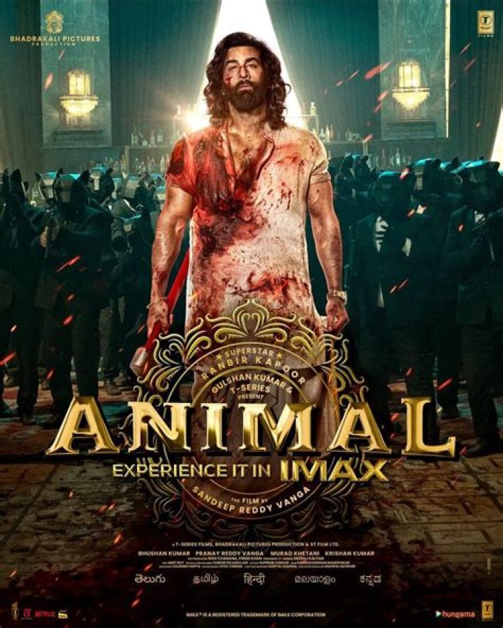 BollyFlix KGF 2: The Ultimate Guide to the Blockbuster Sensation
