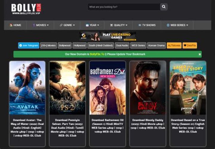 Bollyflix Official Website Movies Download: Your Ultimate Guide to Bollywood Entertainment