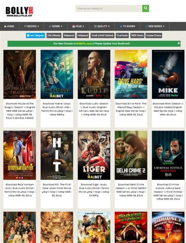 Bollyflix Official Website Movies: Your Ultimate Bollywood Movie Destination