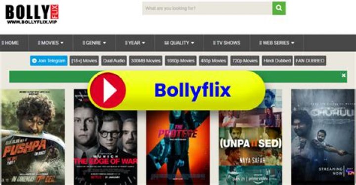 Bollyflix Yodha Movie Download: Your Ultimate Guide to Streaming and Downloading