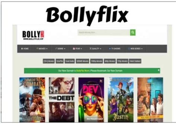 BollyFlix You Web Series: The Ultimate Guide to Streaming Indian Entertainment